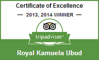 certificate of excellent