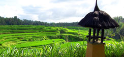 ROYAL KAMUELA UBUD