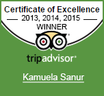 certificate of excellent