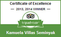 certificate of excellent
